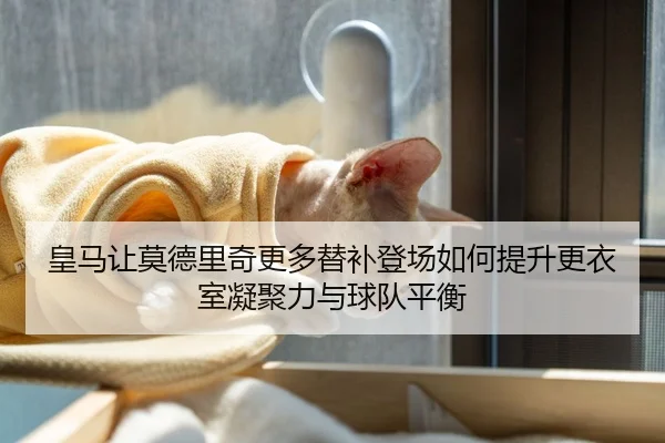 皇马让莫德里奇更多替补登场如何提升更衣室凝聚力与球队平衡